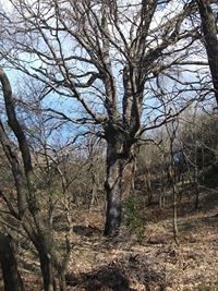 Pianobello - 04032012 097.jpg